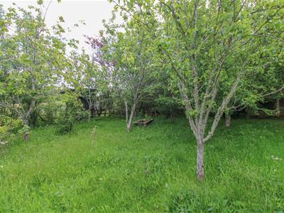 Picture 29